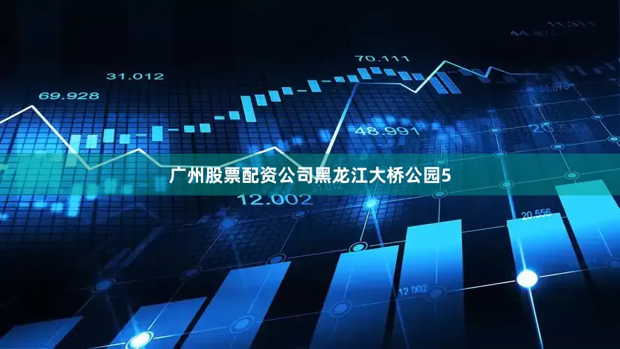 广州股票配资公司黑龙江大桥公园5