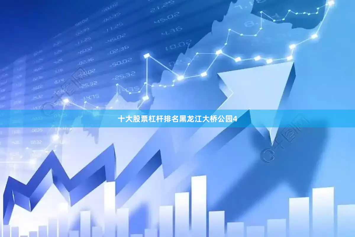 十大股票杠杆排名黑龙江大桥公园4