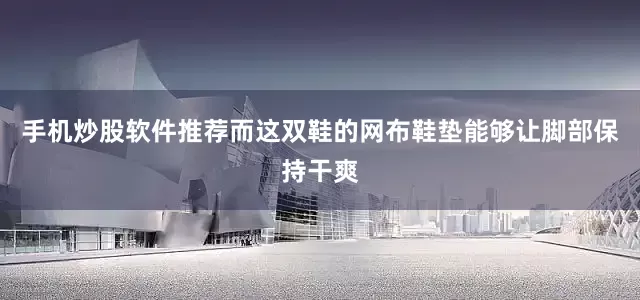 手机炒股软件推荐而这双鞋的网布鞋垫能够让脚部保持干爽