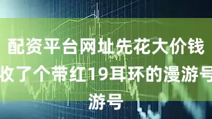 配资平台网址先花大价钱收了个带红19耳环的漫游号