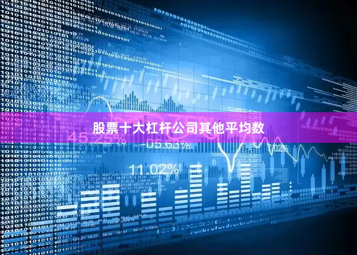 股票十大杠杆公司其他平均数