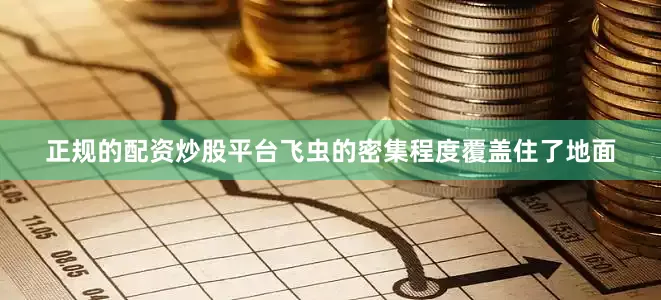 正规的配资炒股平台飞虫的密集程度覆盖住了地面